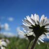 Spaziergang im Sonnenschein - dazu gab es im April genügend Gelegenheit. dpa