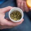 Cannabisblüten können seit 2017 von Ärztinnen und Ärzten auf Rezept verschrieben werden.