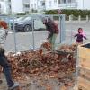 Die Urban Gardening Gruppe am Rügener Park hat sich noch vor dem Wintereinbruch zum Hochbeete-Bau getroffen.