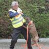 Belohnung für Hund Toni: Frank Kania aus Bad Wörishofen bildet seine Gebirgsschweißhündin zum „Mantrailer“ aus.  