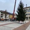 Auf dem Neu-Ulmer Rathausplatz ist am Montagvormittag der Weihnachtsbaum errichtet worden.