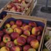 In Oettingen kann man am Sonntag den Apfelmarkt besuchen. 