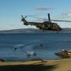 Trondheim: Das Foto der NATO zeigt einen niederländischen Cougar-Hubschrauber, der während einer amphibische Landeübung startet.