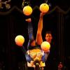 Premiere Circus Barelli