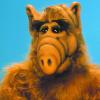 Seit 30 Jahren im deutschen Fernsehen: der Außerirdische Alf.