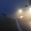 Bei dichtem Nebel ist ein Autofahrer bei Finning in ein Maisfeld gefahren.