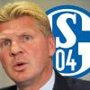 Wird Stefan Effenberg der neue Trainer des FC Schalke 04?