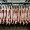 In Deutschland wurden im ersten Halbjahr 2023 deutlich weniger Schweine geschlachtet. 