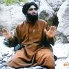 Medien: Schwiegersohn von Osama bin Laden verhaftet
