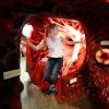 Ein begehbares Herzmodell war eines der gefragtesten Exponate bei der langen Nacht der Wissenschaft an der Universität Ulm, die am Freitag ihren 50. Jahrestag feierte. 