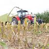 Mais dient in Deutschland auch als Energielieferant in Biogasanlagen. 