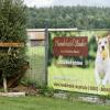 Seit zehn Jahren gibt es das Hundehotel Studer. Dort können Besitzerinnen und Besitzer ihre Hunde abgeben, falls sie in den Urlaub fahren oder anderweitig verhindert sind.