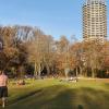 Im Wittelsbacher Park in Augsburg lagen am Wochenende viele auf den Wiesen - oder spielten mit ihrem Hund.