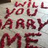 Der Heiratsantrag erfolgte in Schriftform – geschrieben mit hunderten Rosenblättern.