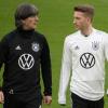 Marco Reus verzichtet nach Rücksprache mit Joachim Löw auf die EM.