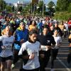 Im letzten Jahr nahmen 8.000 Läufer am Augsburger Firmenlauf teil.