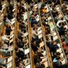 Noch zahlen die Studenten für ihre Sitzplätze im Hörsaal an der Technischen Universität in München Studiengebühren.