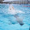 Was gibt es Schöneres, als den Großteil seiner Sommerferien im Freibad zu verbringen?