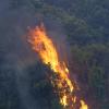 Bäume stehen in Flammen während Brände durch die Landschaft in der Nähe von Oristano wüten.