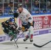 Jakob Mayenschein und die Augsburger Panther kamen auch gegen die Eisbären Berlin ins Straucheln. Erneut verlor die Mannschaft von Trainer Tray Tuomie ein Heimspiel.