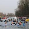 Das Neuburger Donauschwimmen lockt hunderte Schwimmer an. Auch dieses Jahr ist die Nachfrage groß. Karten gibt es nur noch sehr begrenzt
