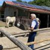 Der Schaf- und Eselstall von Anahid Klotz (Foto) und ihrem Mann Gerhard Gregori ist vom Gemeinderat im Nachhinein mit knapper Mehrheit genehmigt worden. 	