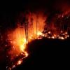 Flammen schlagen im Juni in einem Waldstück nahe Jüterbog in die Höhe.