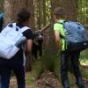 Bei einer Schulführung durch den heimischen Wald nahe dem Gersthofer Peterhof staunten die Drittklässlerinnen und Drittklässler.