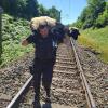 Ein Beamter der Polizei Donauwörth rettet am 2. Juli ein Schaf vom Gleis bei Tapfheim. Das Bild geht seit gestern durch die Medien. 