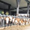 Wie Milchviehhalter erfolgreich arbeiten können, hat ein Landwirt aus Rheinland-Pfalz den hiesigen Bauern bei einer Fachtagung erklärt.  