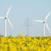 Zwei Windräder und eine Hochspannungsleitung stehen hinter einem blühenden Rapsfeld im Landkreis Hildesheim.