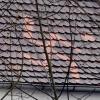 Ein nationalsozialistisches Symbol auf einem Hausdach in Inningen sorgte für Aufsehen. Nun ist es weg.