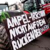 Am Montag wollen die Landwirte gegen die Sparbeschlüsse der Bundesregierung demonstrieren. Die Kraft für derartige Proteste haben nicht alle Berufsgruppen.