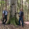 Rainer Nützel (links), Leiter des Amts für Landwirtschaft und Forsten Krumbach-Mindelheim, und Hermann Saul Walter, Leiter des Forstbetriebs Ottobeuren, zeigen im Hochfirst bei Erisried, am Beispiel eines Baum-Methusalems wie Naturschutz im Wald aussehen kann. 