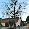 Die Dorflinde am Schlossweg in Osterberg ist abgestorben. Voraussichtlich Anfang August wird der Baum entfernt.  