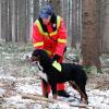 Bei der Suche nach Vermissten bekommt die Polizei auch Unterstützung von ehrenamtlichen Helfern: In Dettenschwang waren Rettungshunde der Feuerwehr Aschheim mit von der Partie. Hier Tanja Kappenberg mit ihrem Berner Sennhund.