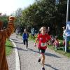 Bei bestem Wetter starteten am Sonntag viele kleine und große Läufer beim Meringer Marktlauf des TVM.