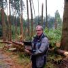 Revierförster Bernd Karrer bei der Bestandsaufnahme der Sturmschäden bei Kellmünz. Das Unwetter Mitte Juli hat schlimme Verwüstungen angerichtet.