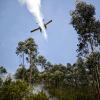 Der Kampf gegen die verheerenden Waldbrände dauerte gestern an. 