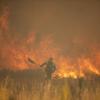 In diesem Jahr verbrannte in Spanien schon sechsmal mehr Waldfläche als im Schnitt der letzten 20 Jahre. Unser Bild entstand vor knapp drei Wochen in der Provinz Zamora im Nordwesten des Landes. 