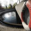 Der Schlamm im Klärbecken in Steinheim setzt sich nicht schnell genug ab, dreckiges Wasser fließt in die Leibi. Chemikalien sollen Abhilfe schaffen.