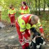 Training für die Spürnasen der Johanniter: Flächensuchhund Lenny mit Hundeführer Peter Braun. 