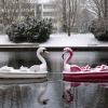 Schneebedeckt: Zwei Tretboote in Form eines Schwans und eines Flamingos auf der Havel in Potsdam.