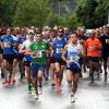Rund 1000 Läuferinnen und Läufer gingen beim Landkreislauf in Lützelburg an den Start - 300 mehr als im Vorjahr. 