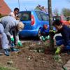 Die Wittislinger Asylbewerber kümmern sich um die Grünflächen der Gemeinde, wie entlang der Straße in Zöschlingsweiler. Sie helfen und bekommen auch Hilfe von Bürgern aus dem Ort. 