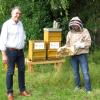Unternehmer Joachim Lang, Imker Sven Ticks und Frank Schuster von der Firma Beefuture (von links) freuen sich über die beiden Bienenvölker in Unteregg. 	