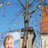 Die Türkheimer Wahlplakate werden wieder abgehängt, denn sie stören die Osterbäume.