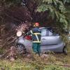 Bei einem schweren Unwetter in Norddeutschland starb ein Mann, vier Menschen wurden verletzt. Außerdem stürzten zahlreiche Bäume um.