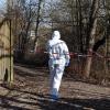 Eine tote Frau wurde auf diesem Gartengrundstück in Ulm gefunden.