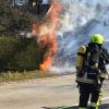 In Monheim stand eine Hecke in Flammen. Die Feuerwehr löschte umgehend.